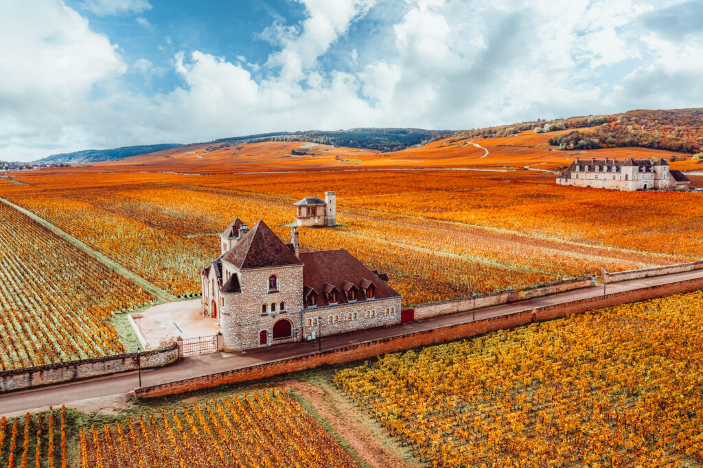 Le Château de Pommard à Dijon