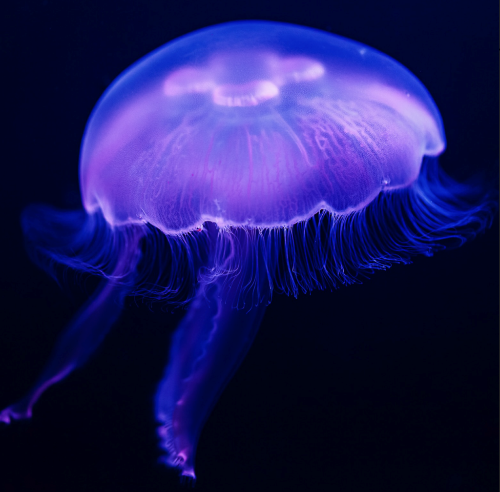 Meilleurs restaurants insolites à Paris : L'Aquarium de Paris