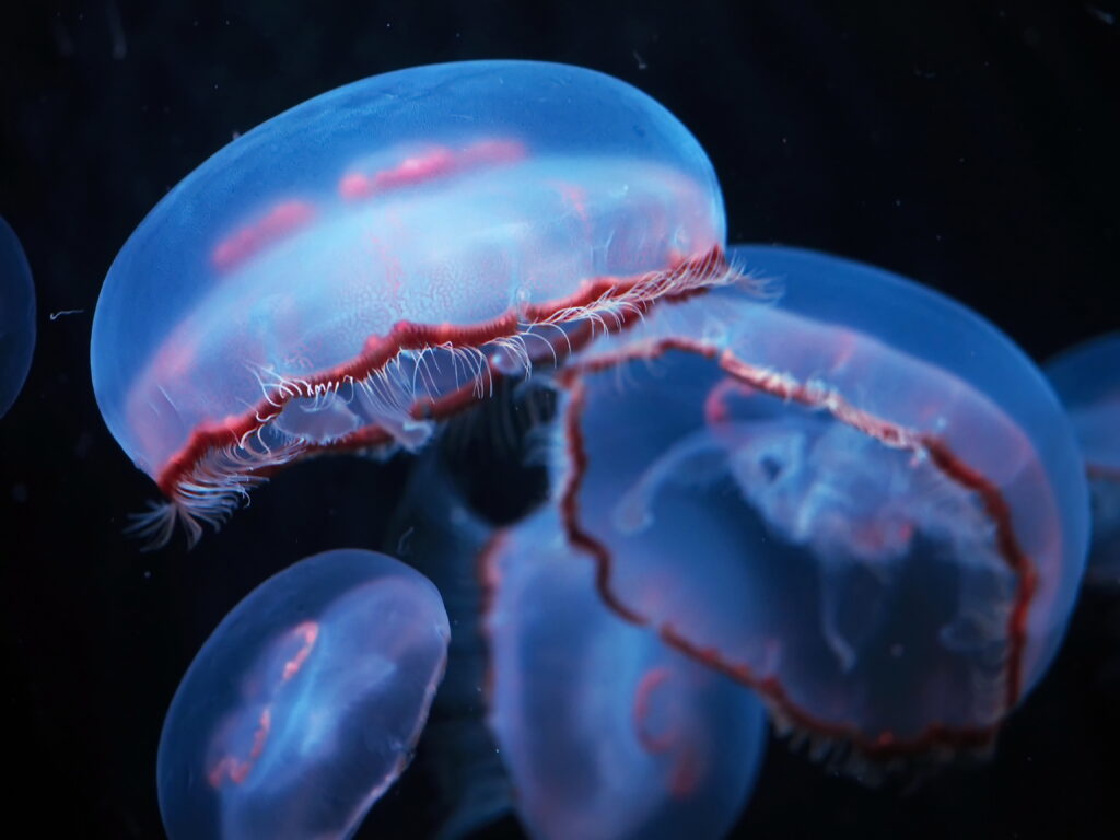 Aquarium de Paris