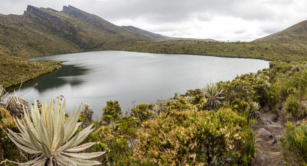 Le Parc national naturel Chingaza