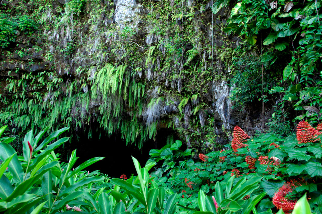 Les grottes de Mara'a 