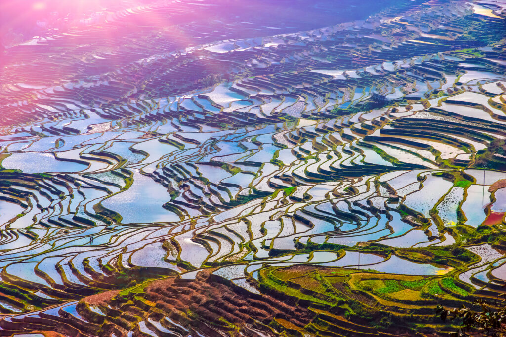 Vue sur les rizières en terrasse de Yuanyang 