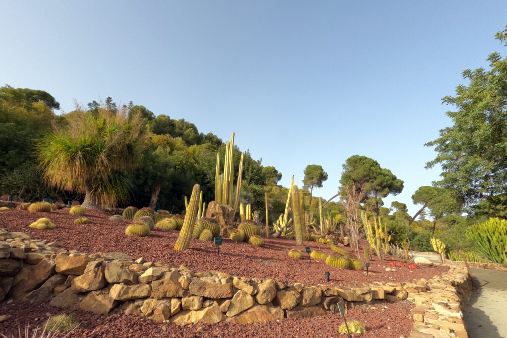 Le Jardin Botanique Historique La Concepción