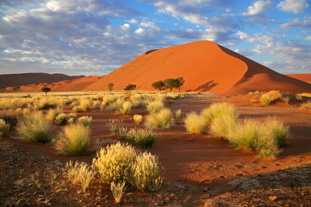 Désert en Namibie