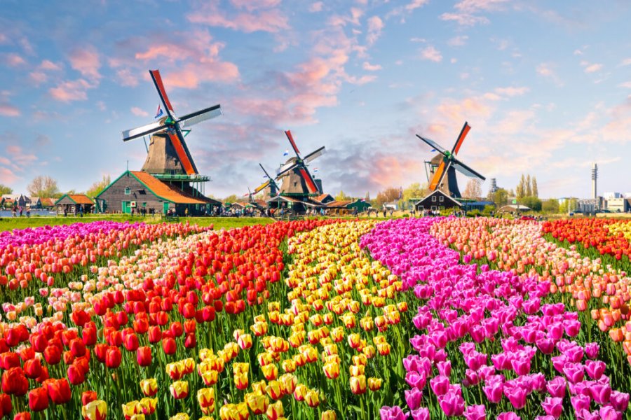Que faire, que visiter aux Pays-Bas ? Les 15 plus beaux endroits !