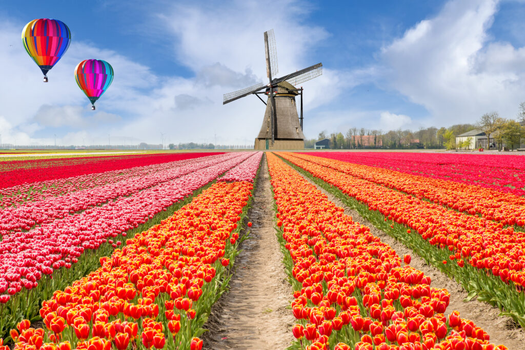 Le jardin botanique de Keukenhof