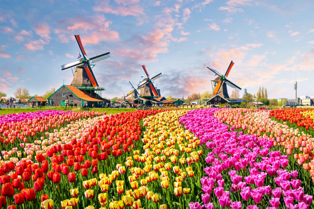 Vue sur le jardin botanique de Keukenhof