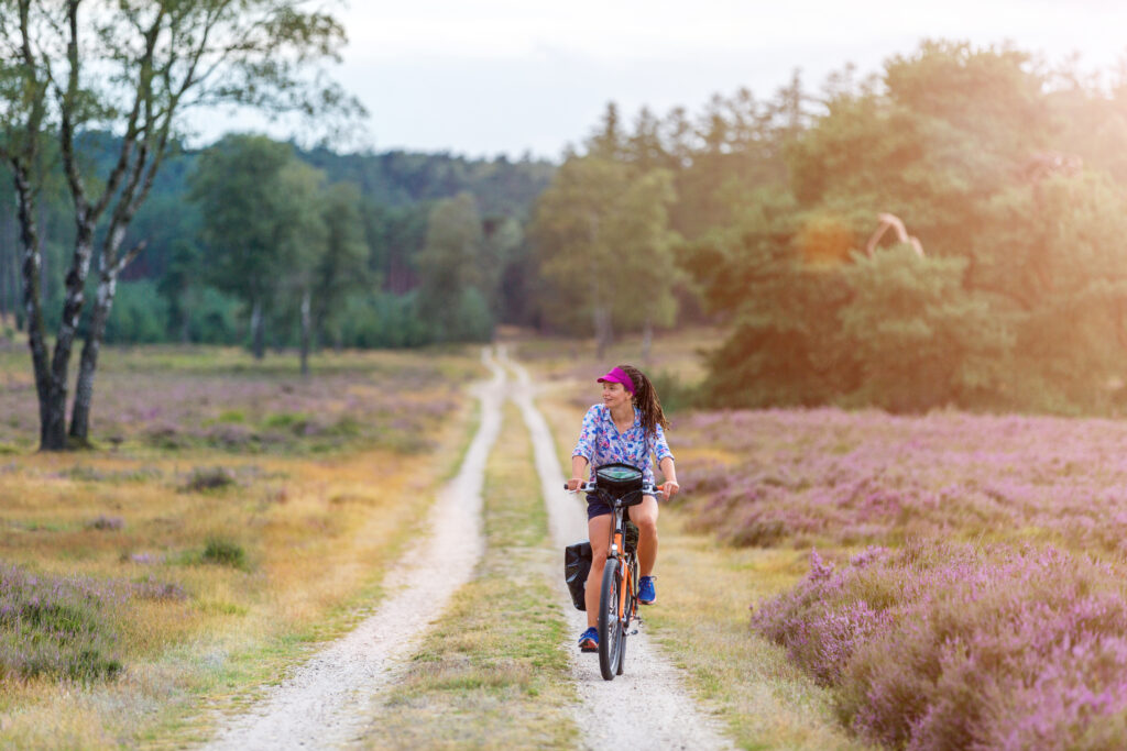 Balade dans le parc national de Hoge Veluwe