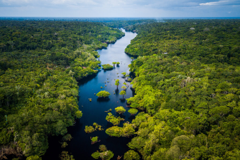 Vue sur la forêt amazonienne au Brésil