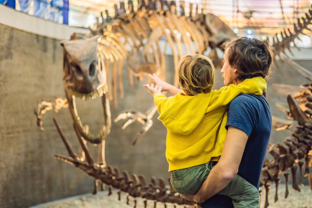 Enfant et son père observant un squelette de dinosaure au musée