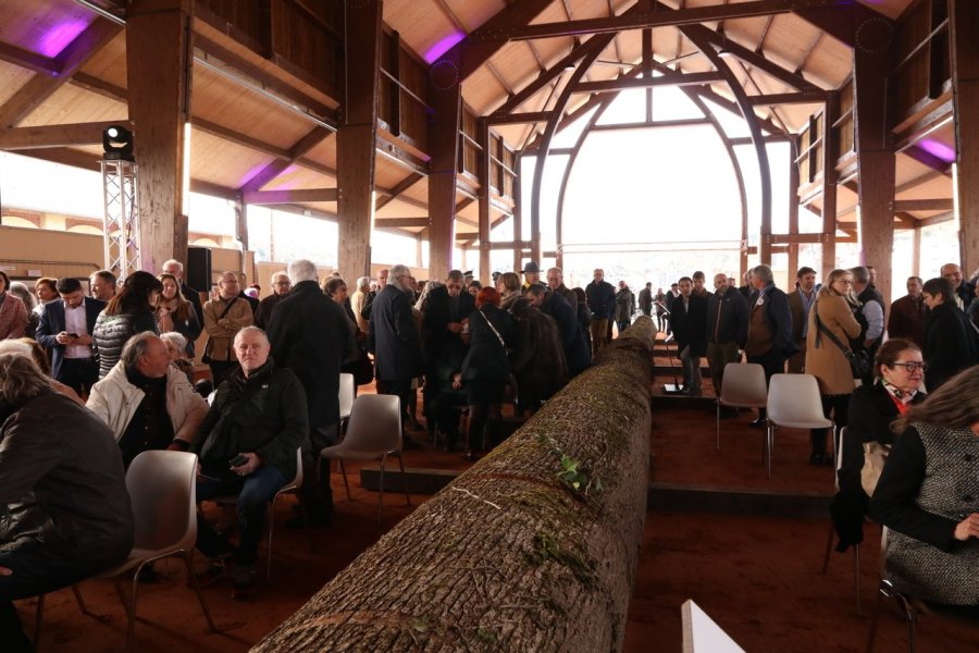 Vivez la reconstruction du navire amiral de Guillaume le Conquérant à Honfleur