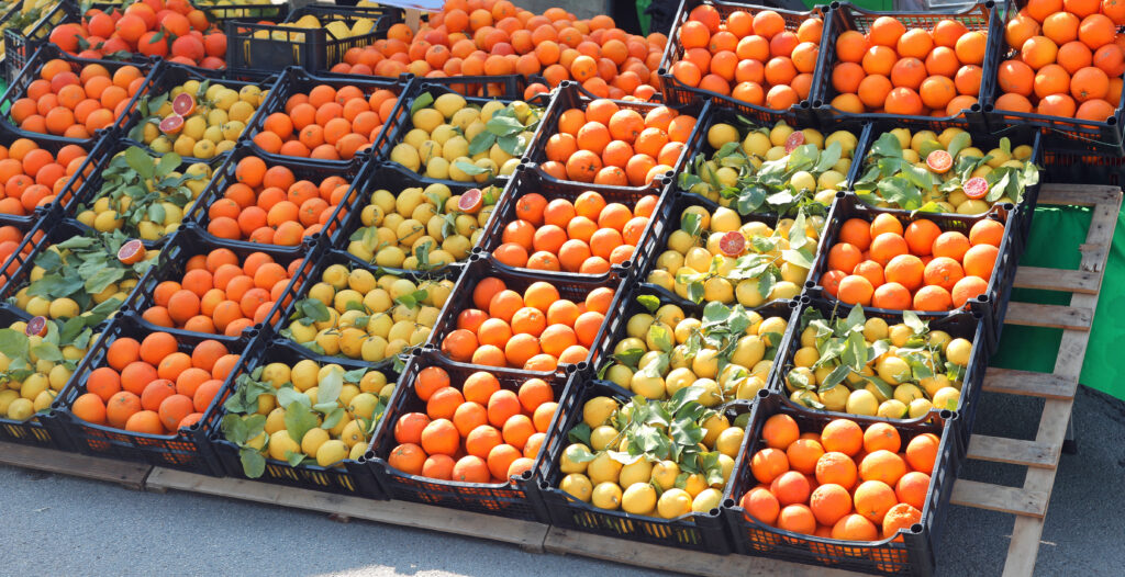 Étals de fruits dans un marché