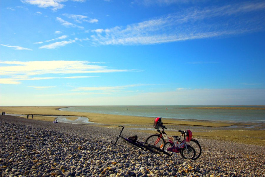 La Baie de Somme: Un Écrin de Durabilité au Cœur de l'Europe