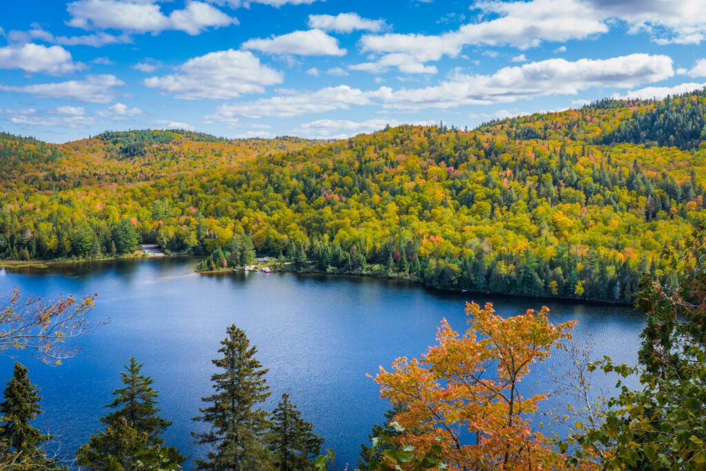 Vue sur le parc national de la Mauricie