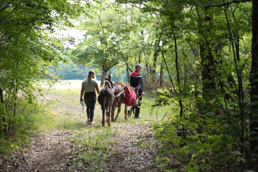 Le Parc national de forêts, une terre de découvertes et d’expériences