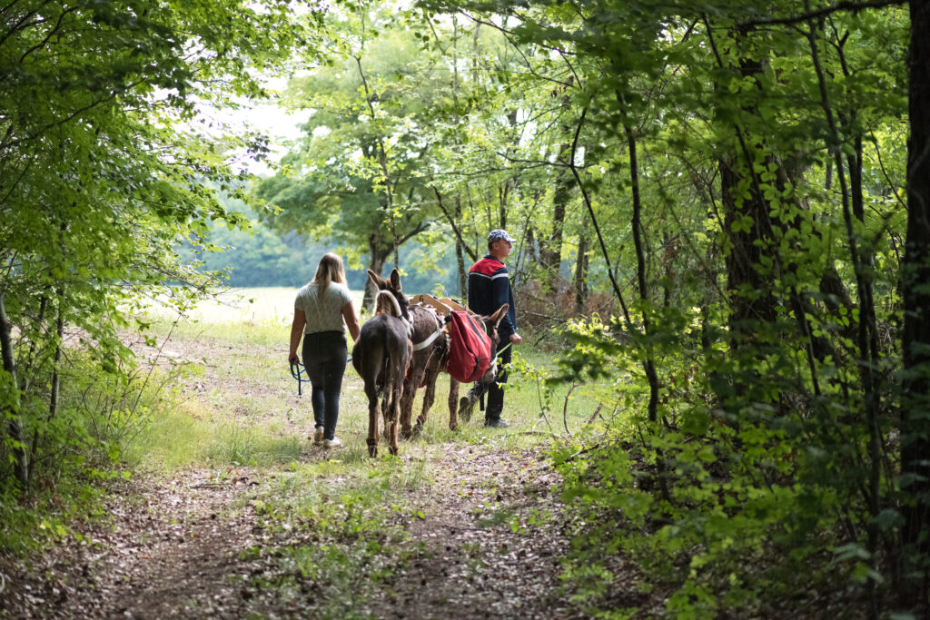 Balade avec les ânes de Donkey'âne