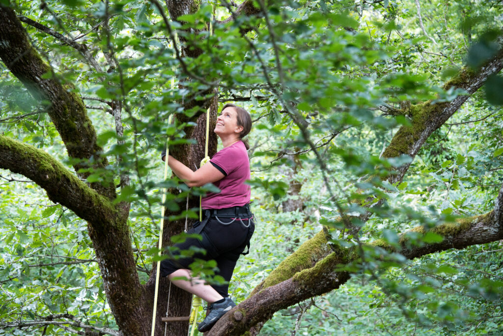 Grimpe dans les arbre avec la Maison de la Forêt à Leuglay