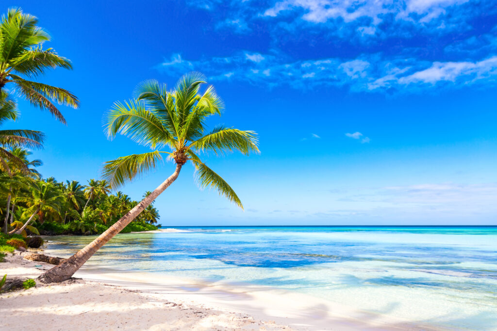 île de Saona, République Dominicaine