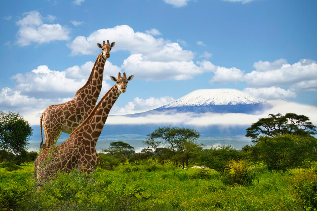 Parc national d'Amboseli, Loitoktok 