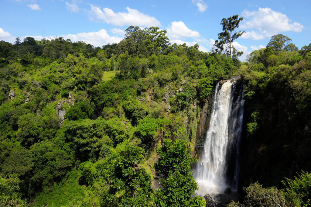 Thomson's Falls 