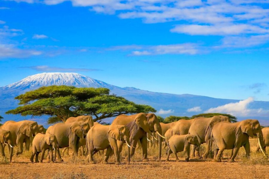 Was kann man in Kenia unternehmen? Die 21 schönsten Orte zum Besuchen