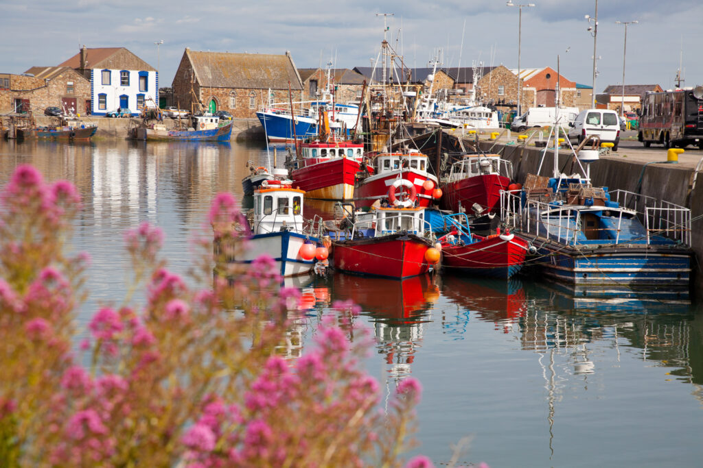 Port de Howth à côté de Dublin