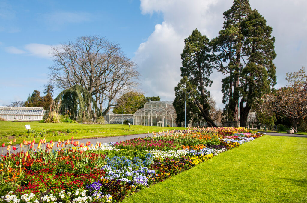 Jardin botanique de Glasnevin à Dublin