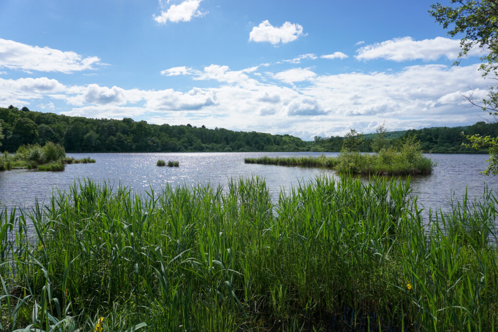 Lac de Malsaucy