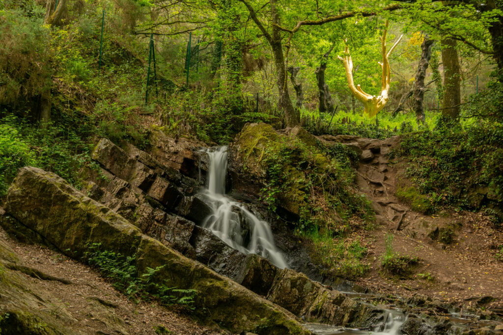 La forêt de Brocéliande