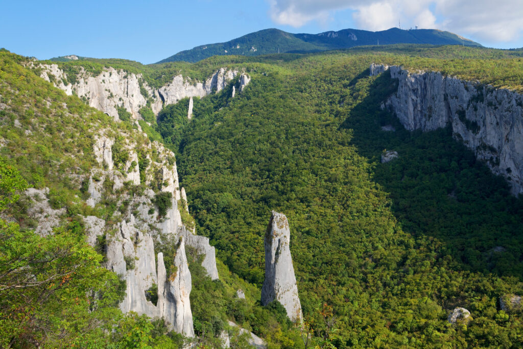 Le parc naturel de Učka