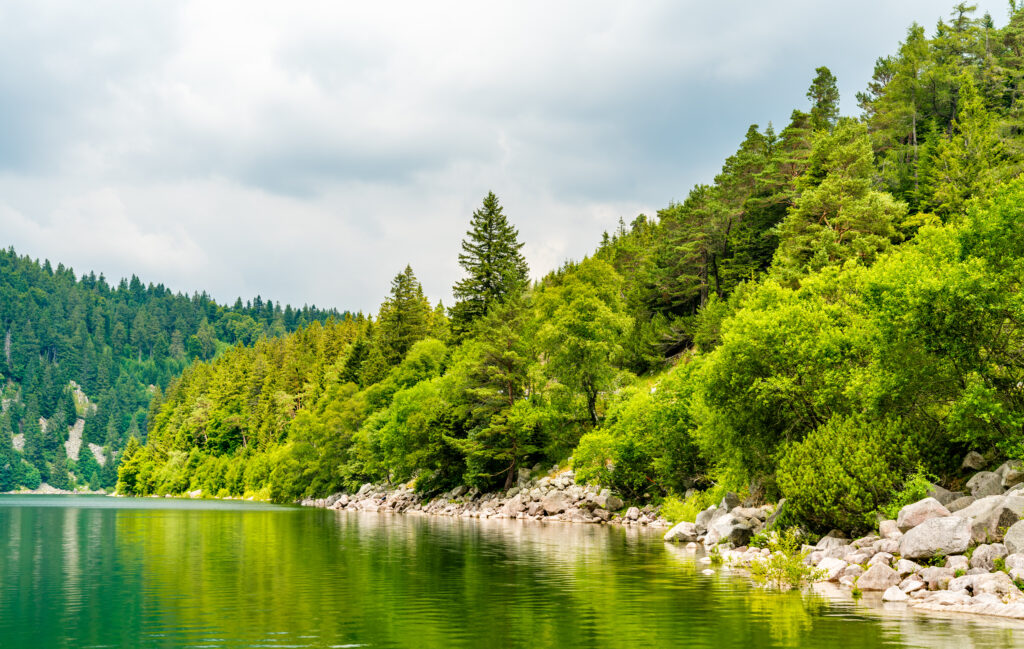 Lac Blanc