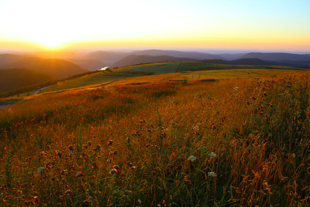 Coucher de soleil sur la montagne vosgienne depuis le sommet du Hohneck