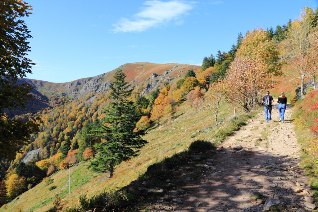 Sentier de la vallée de Munster en automne (Hohneck)