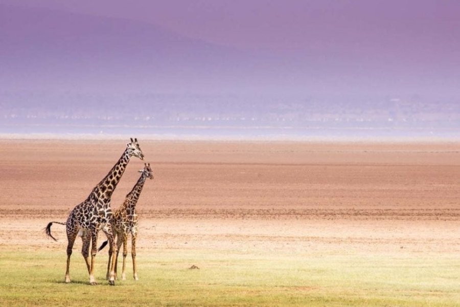 Was kann man in Tansania unternehmen und sehen? Die 20 schönsten Orte zum Besuchen