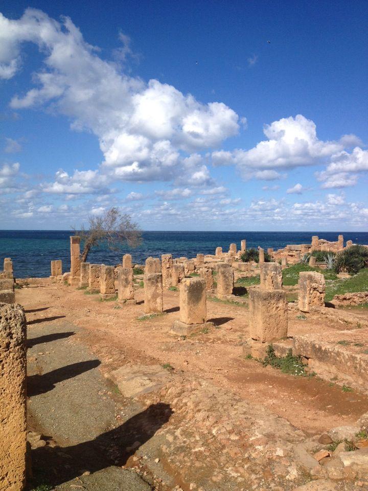Ruines romaines Alger