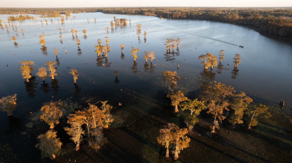 Atchafalaya Basin 