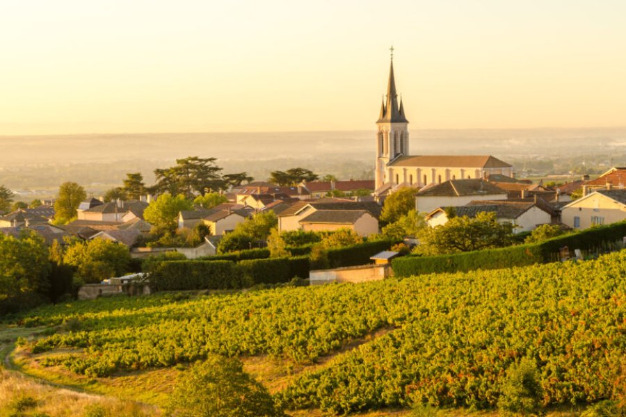 Que faire dans le Beaujolais ? Les 15 incontournables à visiter