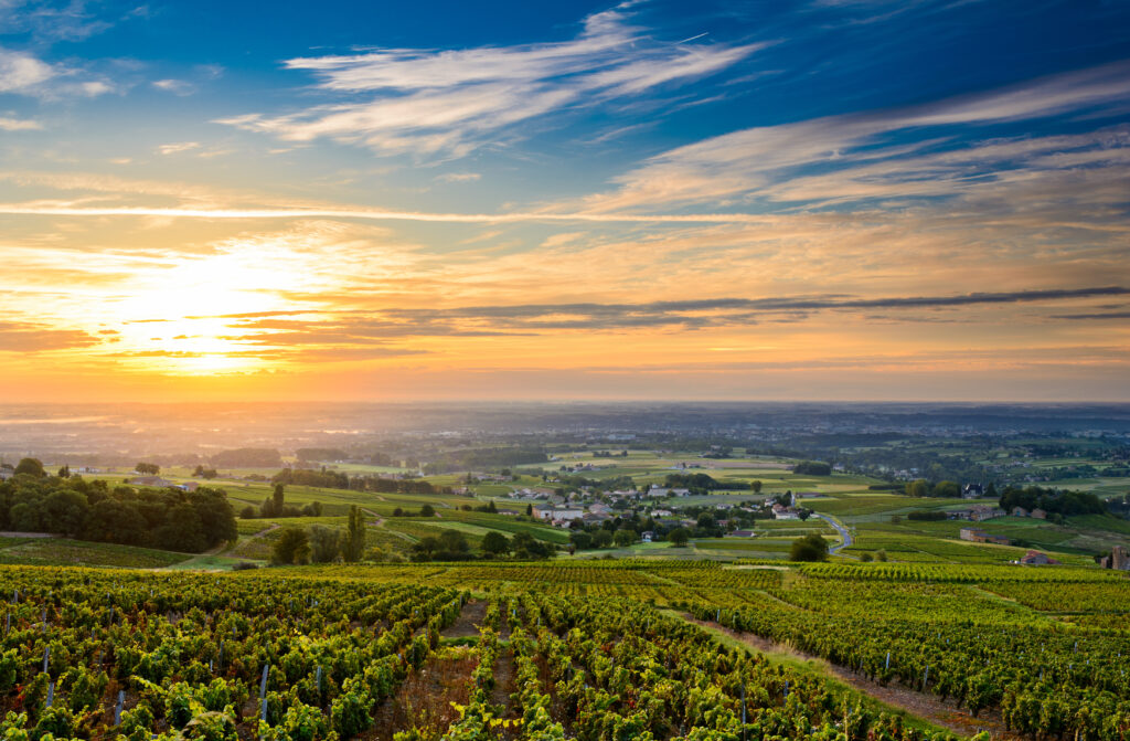 Vignoble Beaujolais