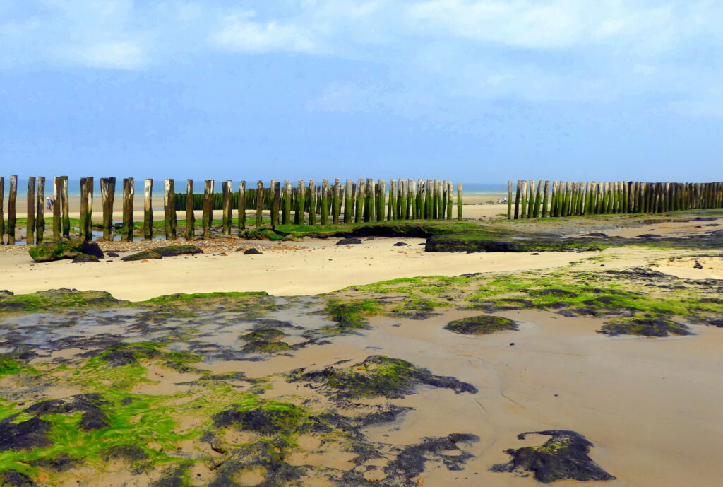 Plage de Wissant 