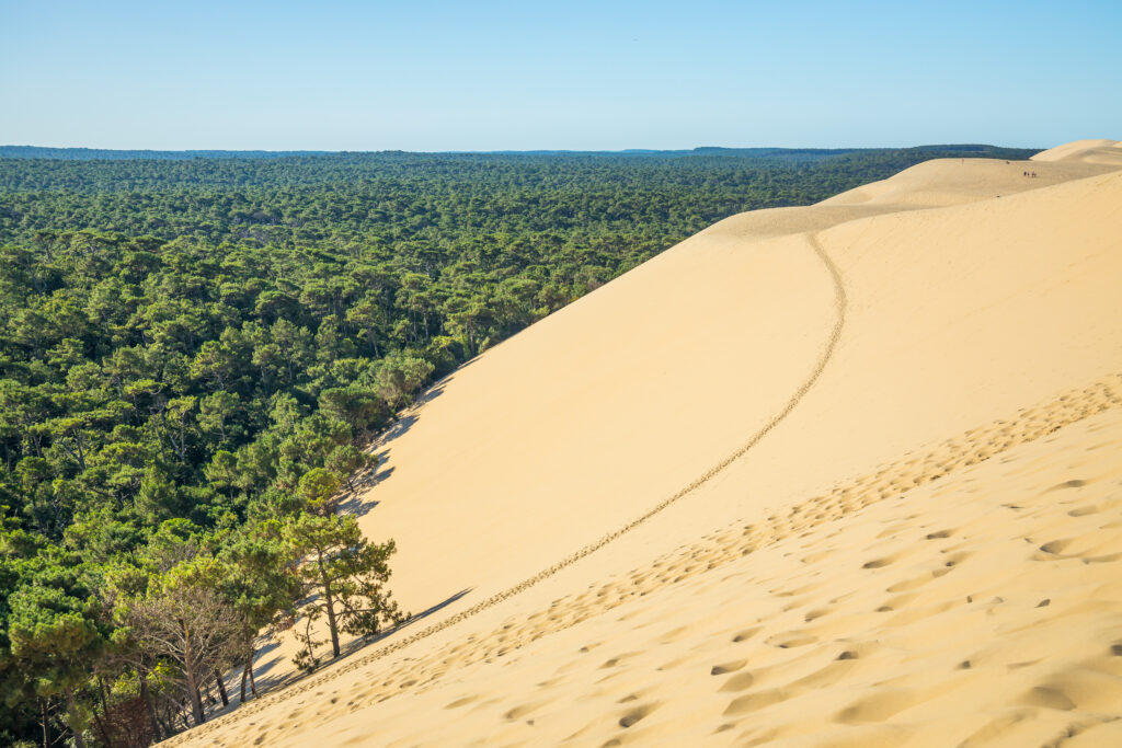 La Dune du Pilat 