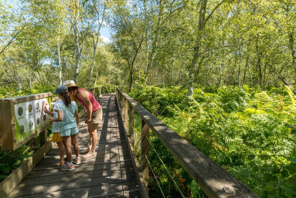 La réserve naturelle d’Hourtin