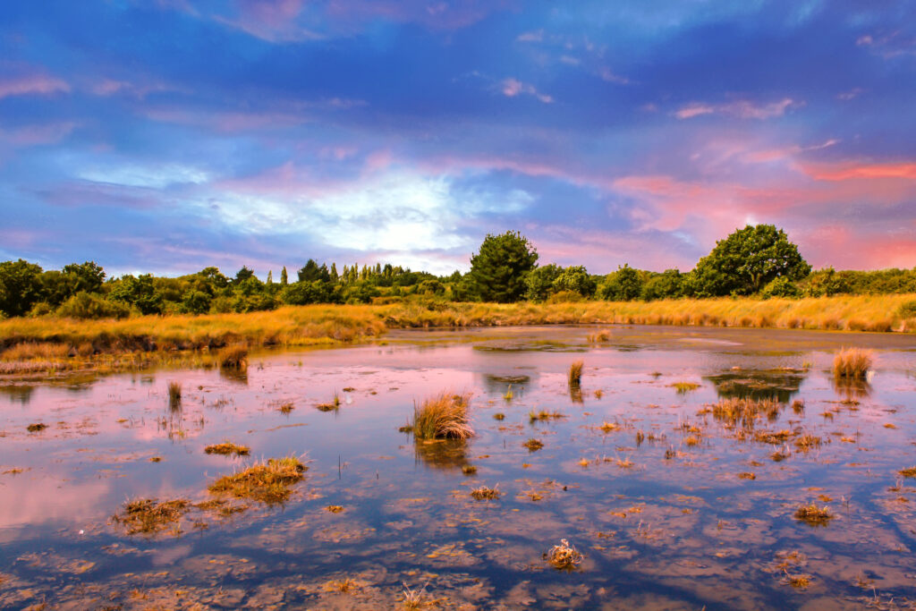 Coucher de soleil sur les marais de Séné, réserve ornithologique, Morbihan.