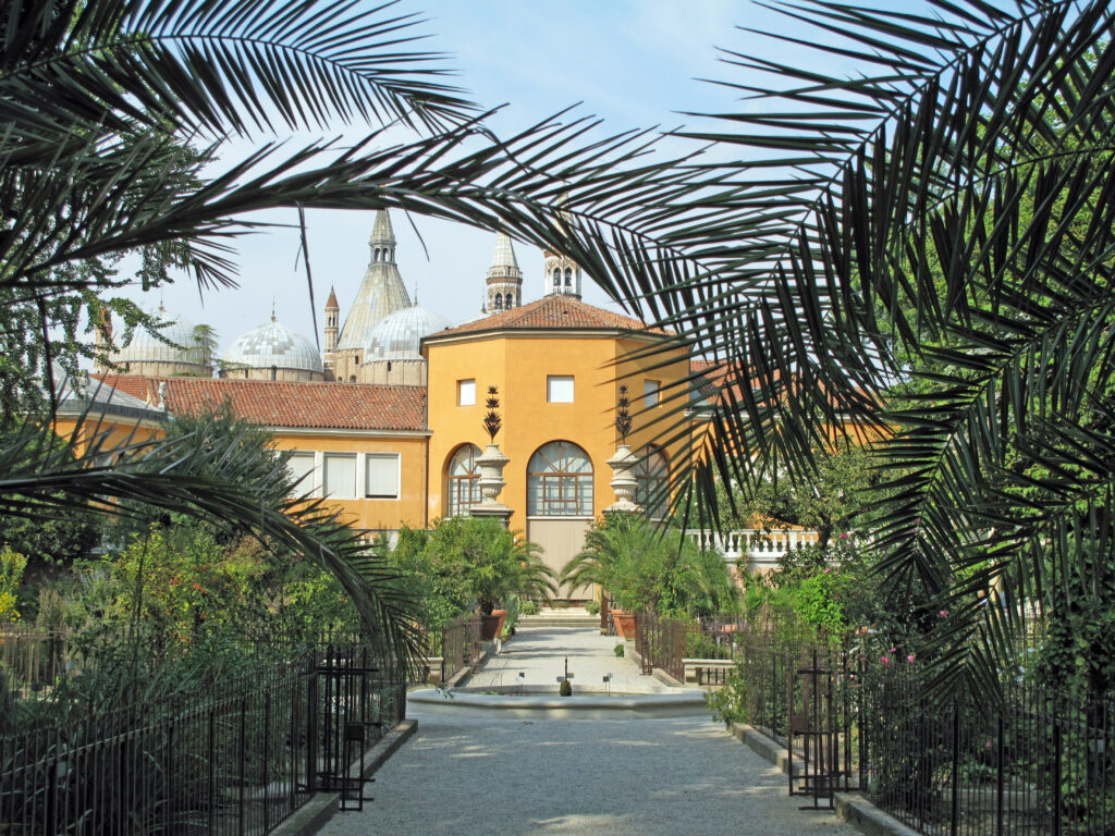 Le jardin Orto Botanico à Padoue