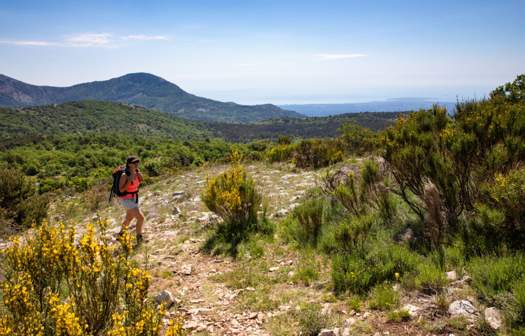 Plateau de Calern 