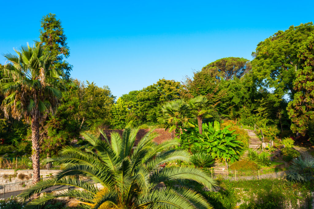 Jardin botanique de Bayonne