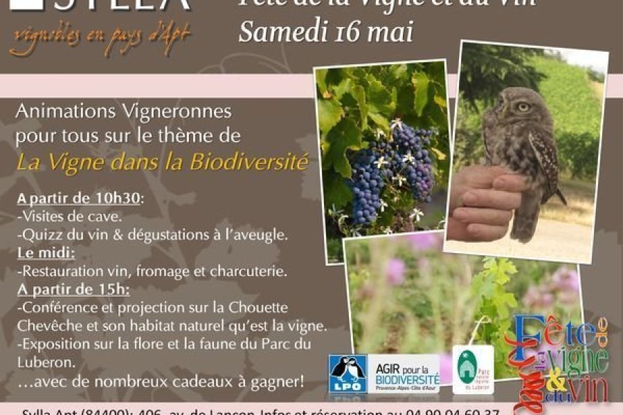 Fête de la Vigne et du Vin en Vaucluse le16 MAI 2015
