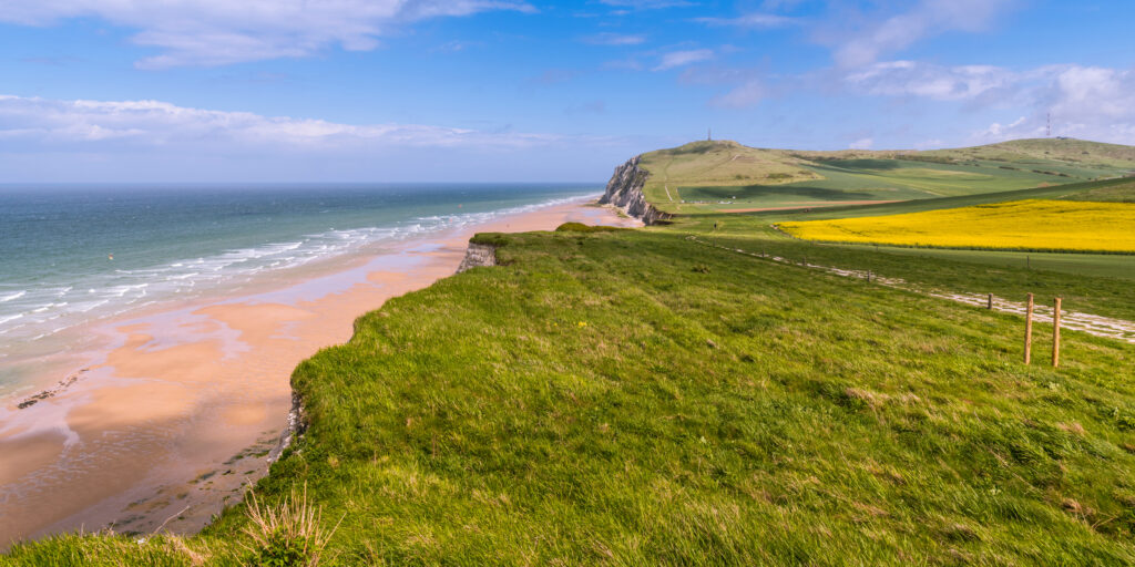 Champ de Colza devant le Cap blanc-Nez