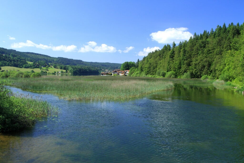 Lac de Saint-Point