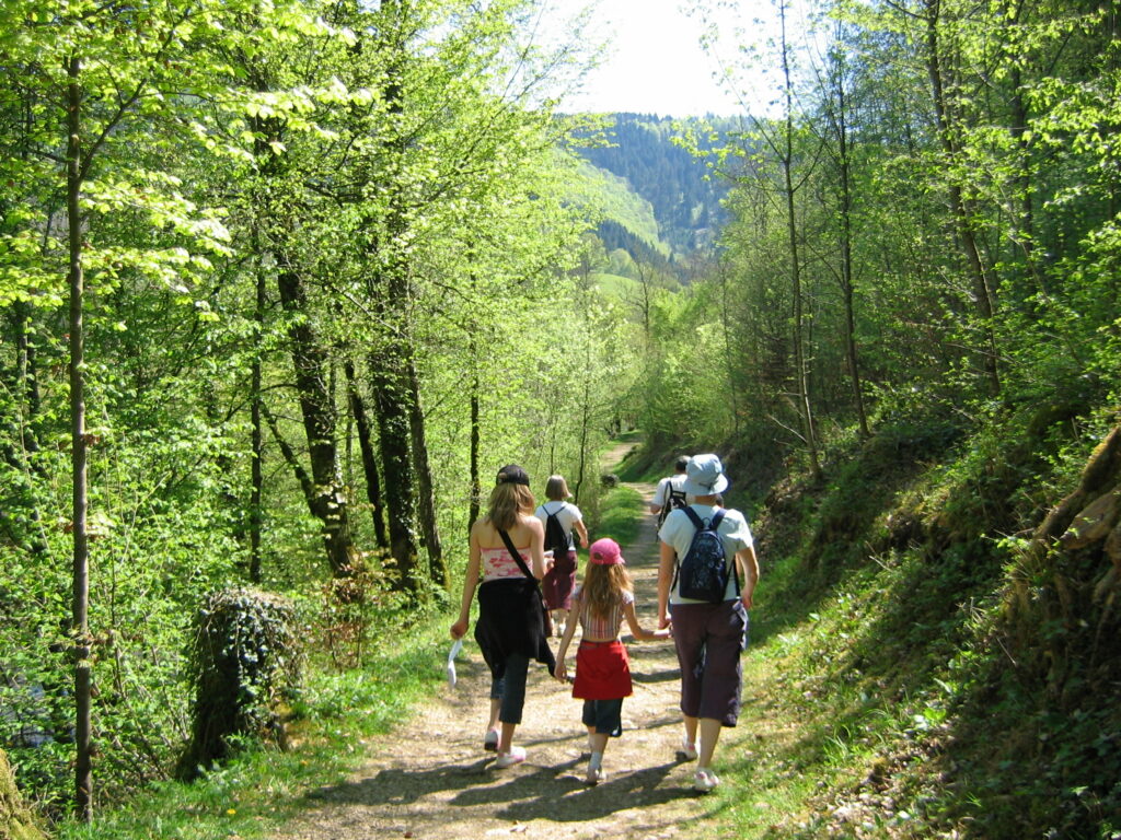 Randonnée dans le Jura