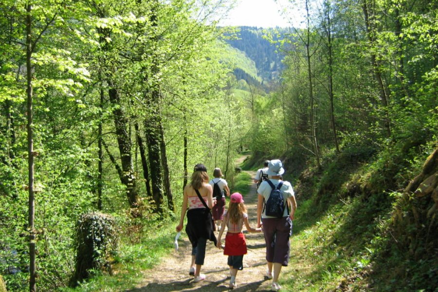Los 11 paseos más bonitos del Jura